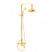 Elizabeth Fima Carlo Frattini душевая колонна ретро с изливом (носиком) для ванны, бронза, золото