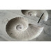 Ammonit столешница с раковиной в форме моллюска Bagno Sasso