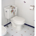 Decorated Bathroom премиум унитаз с ручной росписью цветочный рисунок (на заказ)