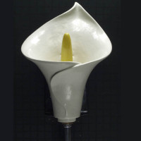 Calla Lily Urinal писсуар в форме цветка каллы Clark Made