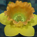 Daffodil Urinal писсуар Clark Made