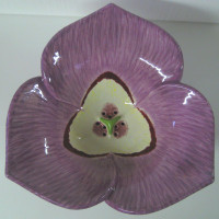 Mariposa Lily раковина калохортус Clark Made