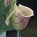 Pink & Green Orchid Urinal писсуар Clark Made
