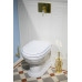 Traditional Bathrooms рычажок смыва для встраиваемой в стену инсталляции, хром, никель, золото